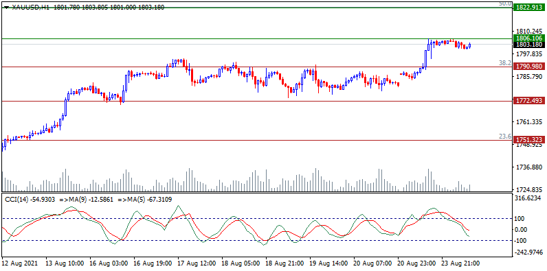 altin210824